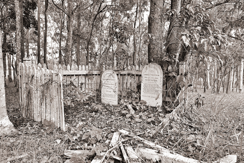 6259_Carrington_cemetery_bnw