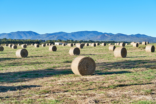 9503_Mapee_Road_Hay_bales