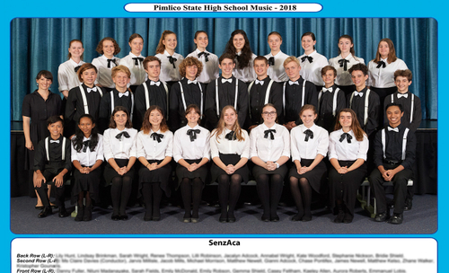 PSHS_SenzAca_website_sfw