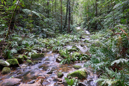 _DSC0362Hidden_Valley_Paluma