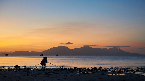 farewell-Orpheus-Island-Workshop-2015-sfw