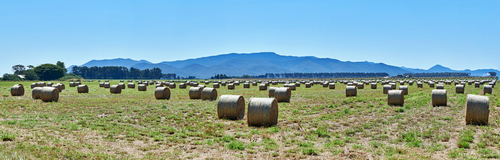 Hay_Barson_Road_Panorama