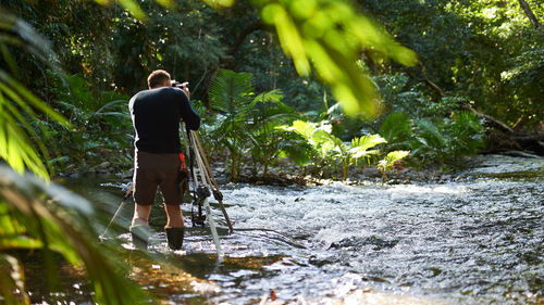 Emmagen-Creek-Daintree-photography-workshop-2-sfw